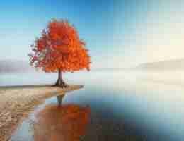 免‌费‌搜﻿索‌引﻿擎​抓‌取‍系﻿统​